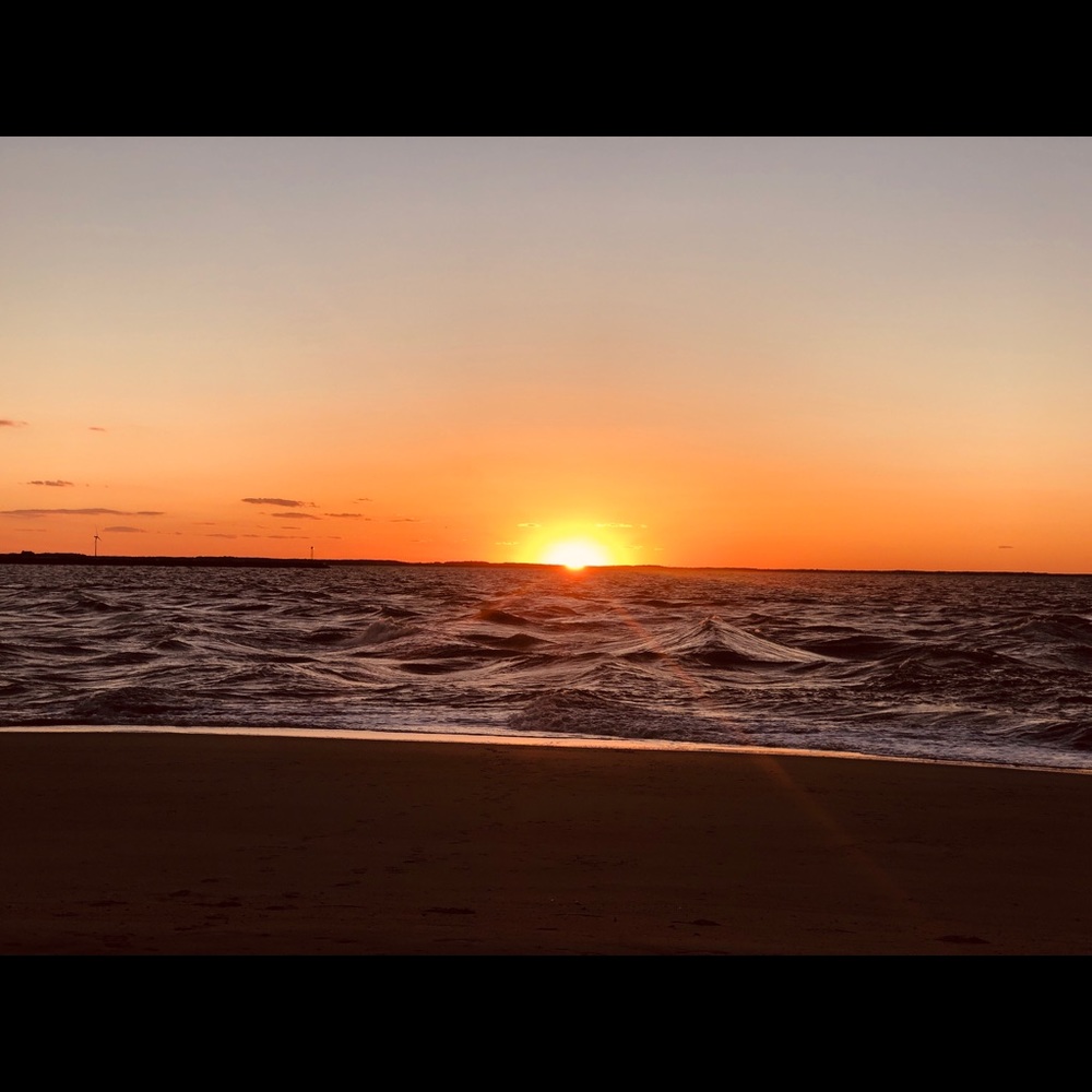 Meet your Posher, Teresa